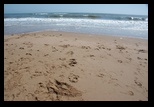Balmedie Beach -30-05-2014 - Bogdan Balaban